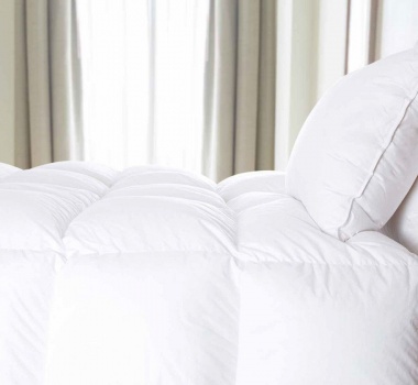 Pillows & Duvets