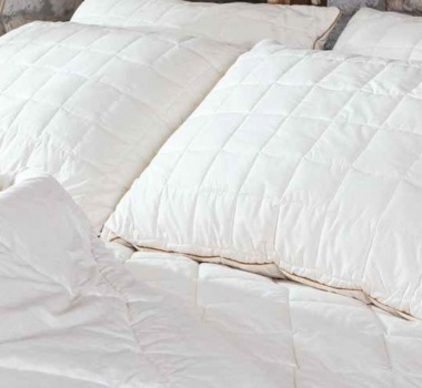 Pillows & Duvets